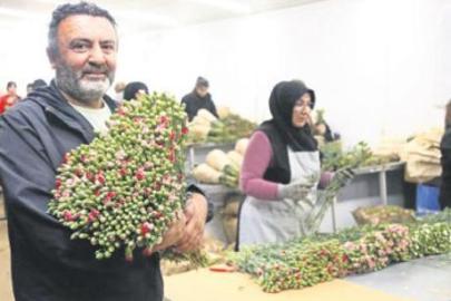 75 milyon dal çiçek Avrupa’ya gitti