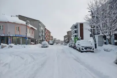 Bingöl'de 15 yerleşim yerine ulaşım sağlanamıyor