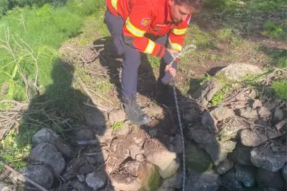 Bodrum'da kuyuya düşen buzağı kurtarıldı