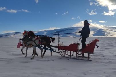 Çıldır Gölü buz tuttu, atlı kızak seferleri başladı
