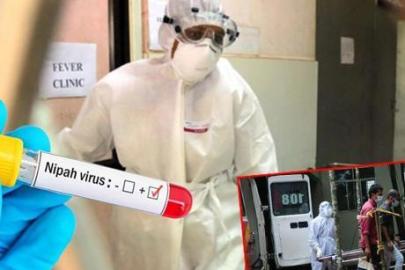 Covid'den 5 kat daha güçlü! Nipah virüsü nereden çıktı, pandemiye dönüşür mü?