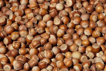 Doğu Karadeniz’in ocak ayı ihracatı 125,5 milyon doları geçti