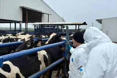 Edirne'den kısa kısa