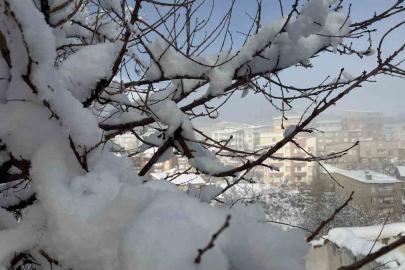 Hakkari’de 144 yerleşim yerinin yolu ulaşıma kapandı
