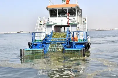 İzmir körfezinde kirlilik alarmı! İzmir Büyükşehir seyirci mi kalıyor?