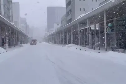 Japonya'da yoğun kar yağışı nedeniyle hayatını kaybedenlerin sayısı 45'e yükseldi