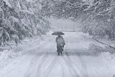 Japonya'da ağır bilanço! Kar felaketinde ölü sayısı 46'ye yükseldi