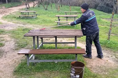 Kocaeli Gebze Gaziler Dağı Tabiat Parkı’na bakım