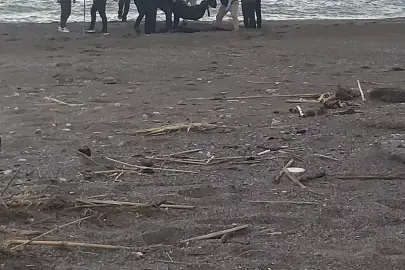 Muğla'da sahilde erkek cesedi bulundu