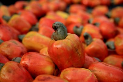 Nöroloji doktoru "beyni gençleştiren gıda" diyor. Hafızayı diri tutmak için süper yol