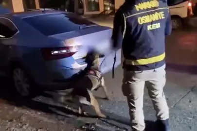 Osmaniye'de otomobil bagajında 36 kilo skunk ele geçirildi: 2 tutuklama