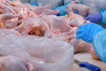 Ramazan öncesi kritik adım! Tavuk ihracatı resmen durduruldu