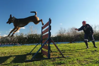 Sakarya'da Reina, Ateş, Google ve Labrador en zor anda ‘umut’ olmaya hazır kıta