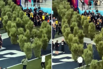 Super Bowl finaline damga vuran görüntü