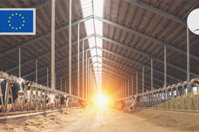 Tarımda, 214 projeye 1,7 milyar lira hibe verilecek