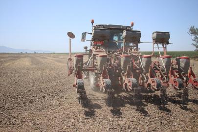 Tarımsal destekleme ödemesi bugün yapılacak