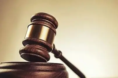 T.C. KADİRLİ 2. ASLİYE HUKUK MAHKEMESİNDEN