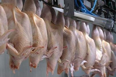 Ticaret Bakanlığından, kanatlı eti ihracatının durdurulmasına ilişkin açıklama