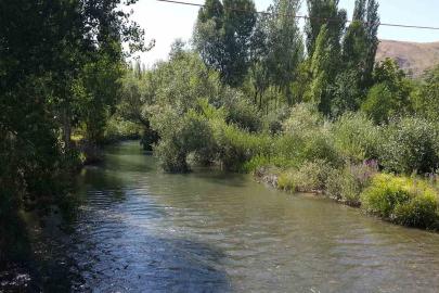 Tohma Çayı’nın ekolojik sağlığı bilimsel olarak ortaya kondu