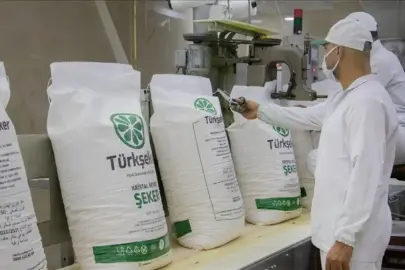 TÜRKŞEKER’den "kota krizi" iddialarına yalanlama: Çiftçinin kotası korundu, rakamlar ortada