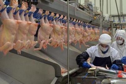 ‘Zarar içeriden fiyat düşmez’