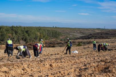 Adana’da 1,2 milyon fidan toprakla buluşturuldu