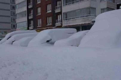 Bitlis mart ayında kara gömüldü