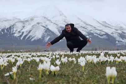Bitlis’te baharın müjdecisi kardelenler açtı