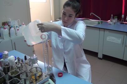 Çay ve bor kullanılarak yeni antimikrobiyal ürün geliştirildi