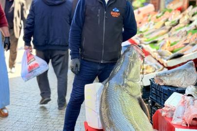 Elazığ’da kurban pazarlığını aratmayan görüntü: Vatandaşlar dev balık için yarıştı