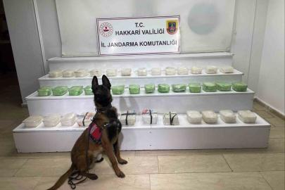 Hakkari’de 43 kilo metamfetamin ele geçirildi
