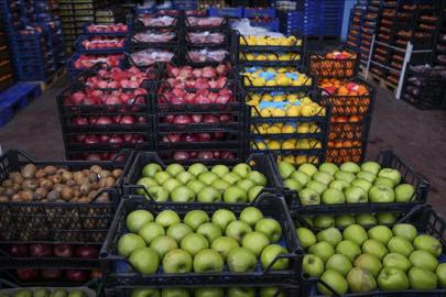 Hallerde vergi kaybı ve fiyat oyununa inceleme