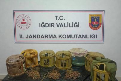Iğdır’da kaçak keklik avcılarına 175 bin TL ceza