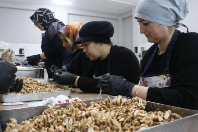 KOSGEB, 53 bin KOBİ'ye destek verecek