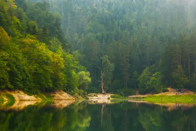 Milli parklar ve doğa korumada yeni dönem... Kanun teklifi TBMM'de kabul edildi