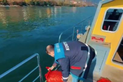 Ordu'da yasa dışı avlanan su ürünlerine el konuldu