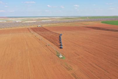 TİGEM Ceylanpınar’da 1'inci ürün dane mısır ekilişlerini tamamladı