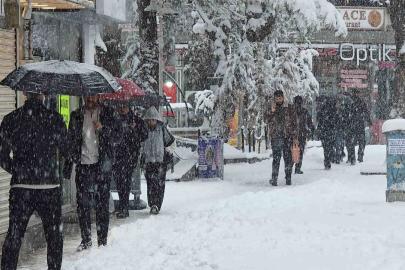 Van’da Mart sürprizi: Bahar beklerken kar kapıya dayandı