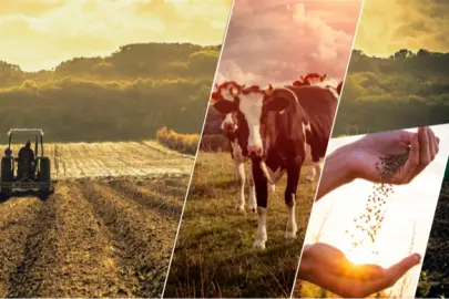 17,4 milyar TL'lik tarımsal destek çiftçilerin hesabında