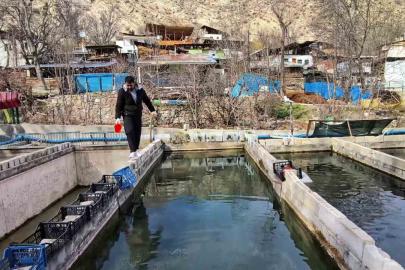 300 bin balık telef oldu; Genç girişimci ayakta kalma mücadelesi veriyor