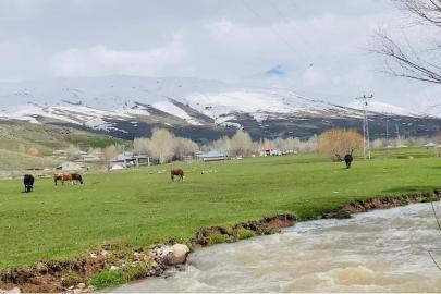 Ağrı’da iki mevsim bir arada