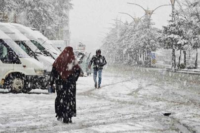 Ahlat’ta nisan karı etkili oldu
