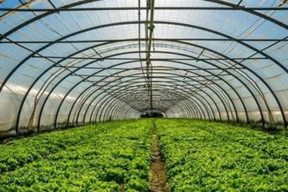 Batman'da çiftçilere yüzde 50 hibeli sera desteği başvuruları başladı
