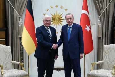 Cumhurbaşkanı Erdoğan, Almanya Cumhurbaşkanı Steinmeier ile görüştü
