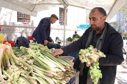 Doğu’nun vitamin deposu muzu ‘ışkın’ tezgahlarda yerini aldı