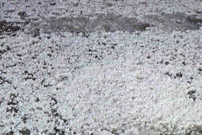 Elazığ’da dolu etkili oldu