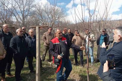 Erzincan’da çiftçilere budama eğitimi verildi