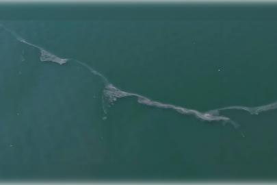 İzmir Körfezi'nde kirlilik alarmı