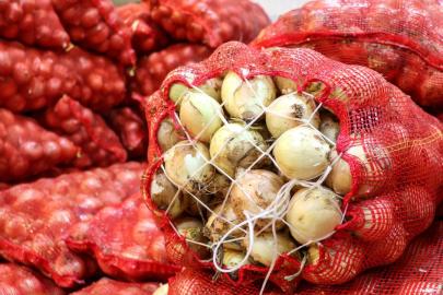 Kuru soğan ihracatı yıla hızlı başladı