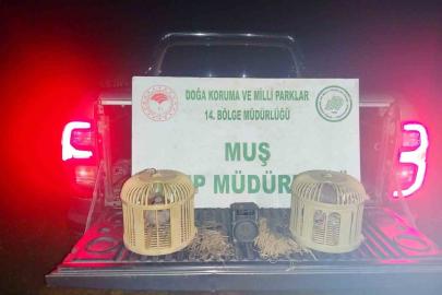 Muş’ta kaçak keklik avına suçüstü: 65 bin TL ceza kesildi